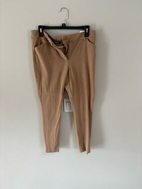 Express Women’s skinny Fit Dress Pants size 10
